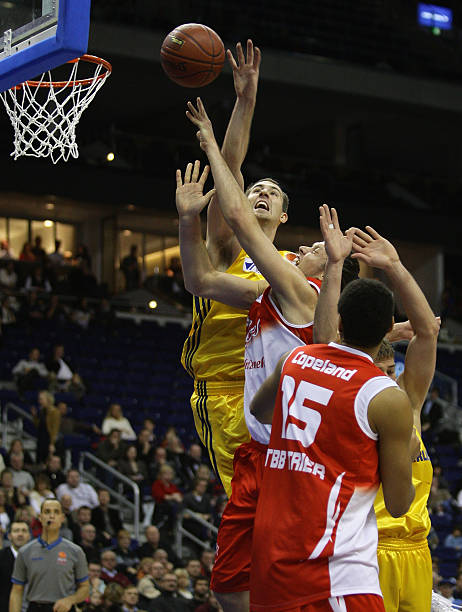 送入网窝 送入网窝